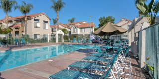 Palm Court Furnished Delight! Gallery 25