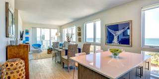 Ocean 650 Gallery 10
