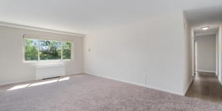 Wood Lee Arms Gallery 23