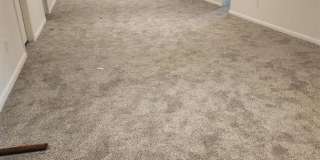 Massive - Remodeled 5 bedroom home!! Gallery 10