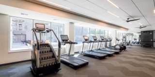 The Fenley Gallery 28