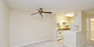 Charming 1BR/1BA Condo in Cardinal Forest, Springfield! Rent Includes Gas, Water, Sewer & Trash Gallery 4