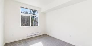 Allegro Lynwood Gallery 71