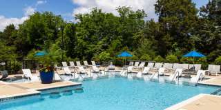 Avery at Turkey Creek Gallery 44