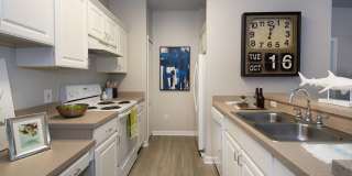 Victoria Place Gallery 123