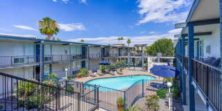 Rise Biltmore Gallery 57