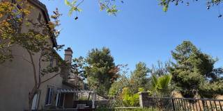 2297 Treetop Lane Gallery 34