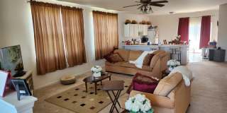 1119 Auburn Meadow Ln Gallery 4