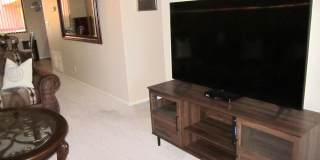 12212 N PARADISE VILLAGE Parkway Gallery 8