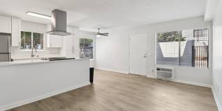 Vista Waterleaf Apartments Gallery 8