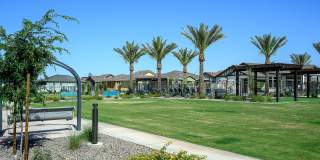 Village at the Blvd Gallery 43