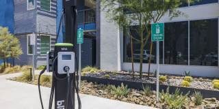 The Lotus Gallery 21