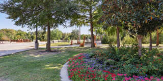 Village at Waxahachie Gallery 22