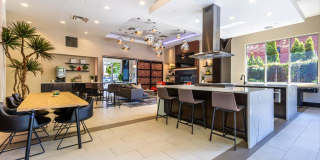 Koi Apartments Gallery 6