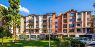 Spacious 2 bedroom, 2 bathroom Gallery 7