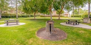 Beautiful 2 Bed, 2.5 Bath Two-Story Townhome in Belsera Gallery 36