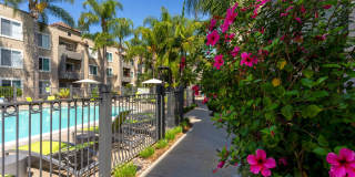 Mission Pacific Apartments Gallery 53