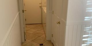 3031 W Sand Flower Drive Gallery 15