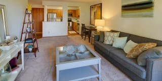 Avana Southview Gallery 72