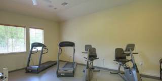 Park at Piney Woods Gallery 14