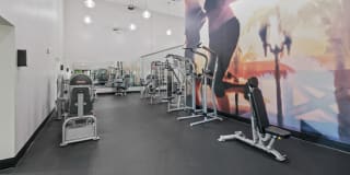 10X Port Royale 10X Port Royale Gallery 26