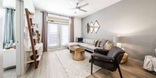 Amara Gallery 4