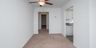 Dana Apartments Gallery 9