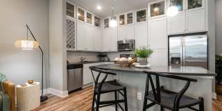 Novus Westshore Gallery 33