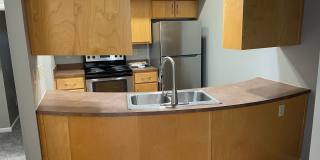 Large Downtown Condo Gallery 7