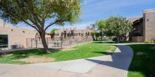 5525 East Thomas Road Gallery 17