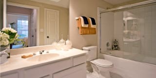 The Saxony Apartments The Saxony Apartments Gallery 60