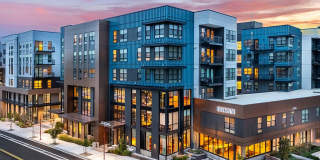 The Brynn Apartments Gallery 55