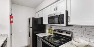 The Adalene Gallery 34