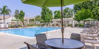 Palm Court Apartment Homes Gallery 7