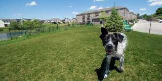 Walnut Lake Gallery 25