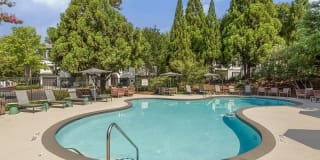 Bell Alpharetta Gallery 27