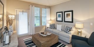 White Palm Gallery 4