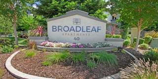 Broadleaf Apartments Gallery 94