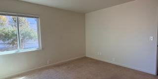 3 Bed and 3 Bath Home Located Off of Forest Ave Gallery 45