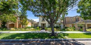 1732 Wolf Canyon Loop Gallery 47