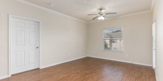 Bowie Garden Gallery 38