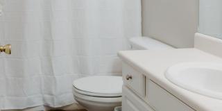 11808 Cabana Court Gallery 22