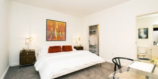 The Piazza Gallery 55