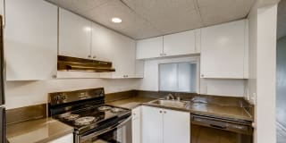 Spectra Palms Gallery 2