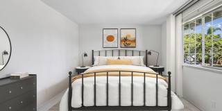 Ava Newport Gallery 4