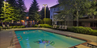 Whimsical Pig Gallery 10