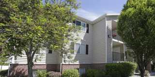 Pinebrook Gallery 45