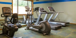 The Willows Gallery 13