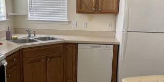 3041 E Camelliawood Circle Gallery 10