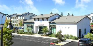 The Strand Gallery 4